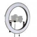 LED Ring Lamp Dimmable DVR-512DVC on 230V - Falcon Eyes
