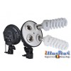 Continu studio verlichting set - 2x lamp met softbox 50*70cm, 8x 36W fluorescentielamp, 2x statief 190cm - illuStar