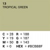 Rol achtergrondpapier - 13 Tropical Green 1,35 x 11m